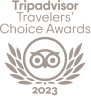 traveladvisor logo